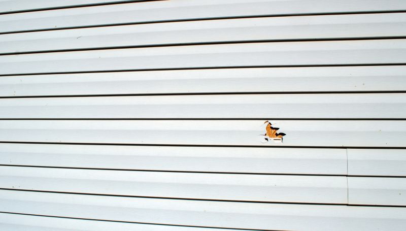 Siding Repair Services