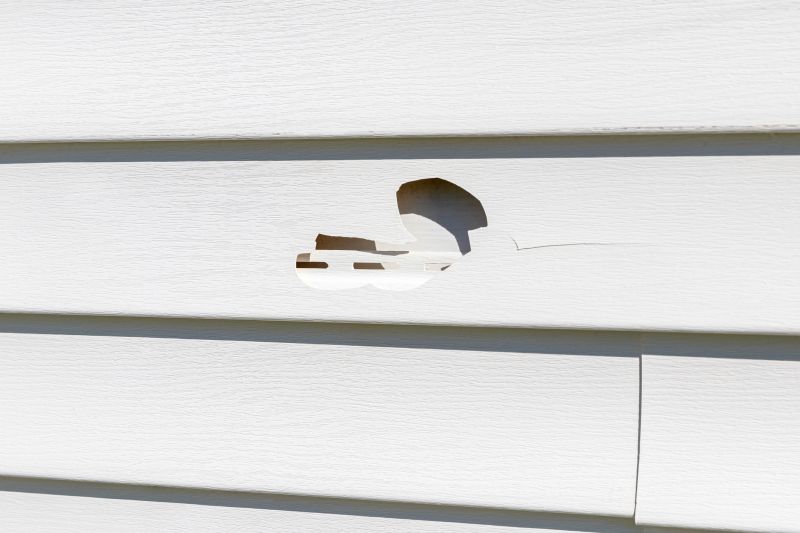 Siding Repair Services